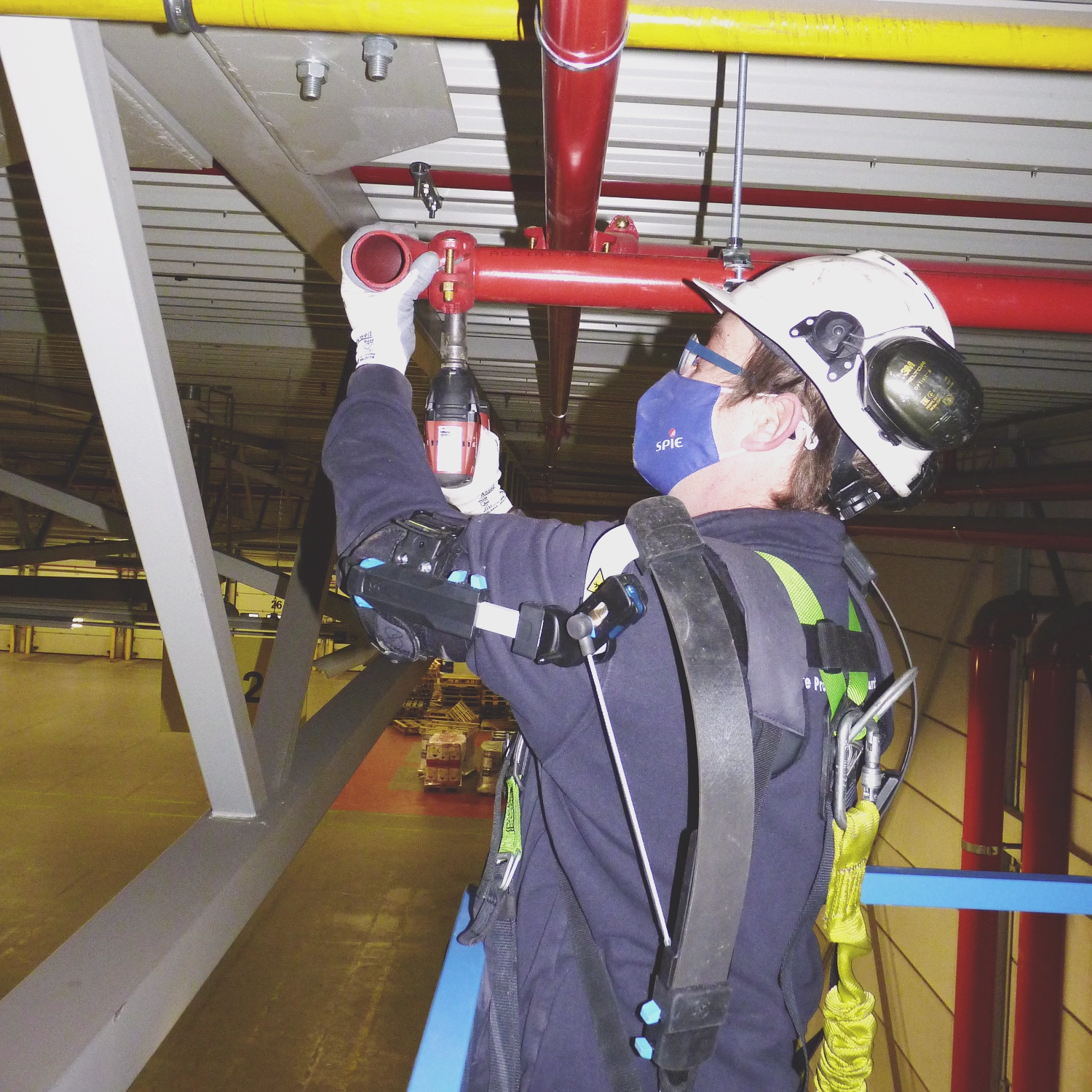 exoskelet